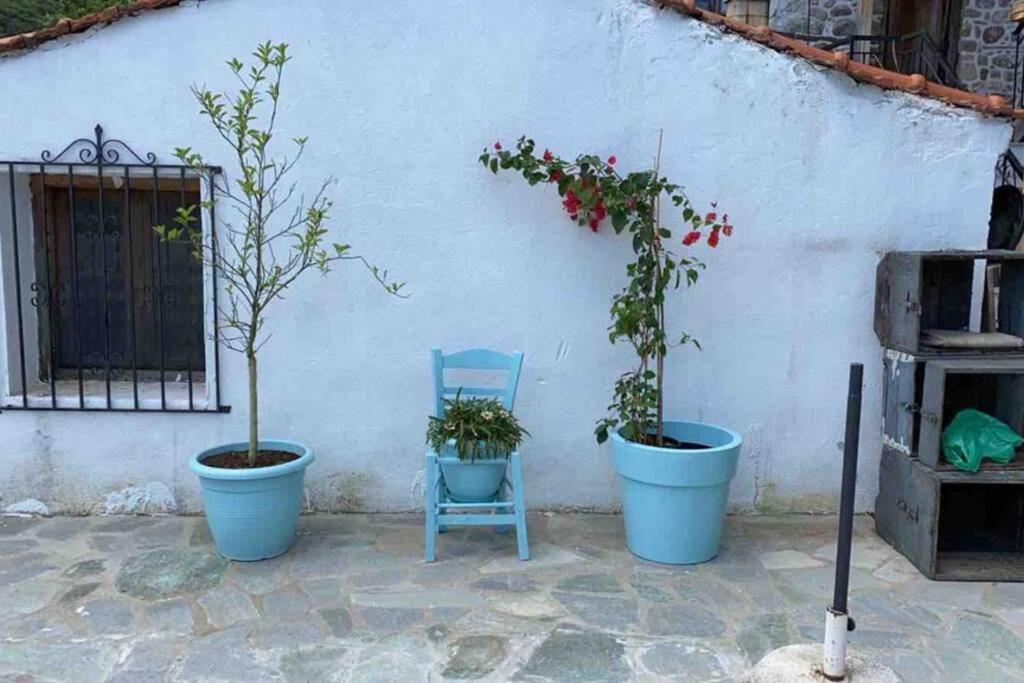 House Marika - Between Sea & Mountains Sykia Chalkidikis Exterior photo